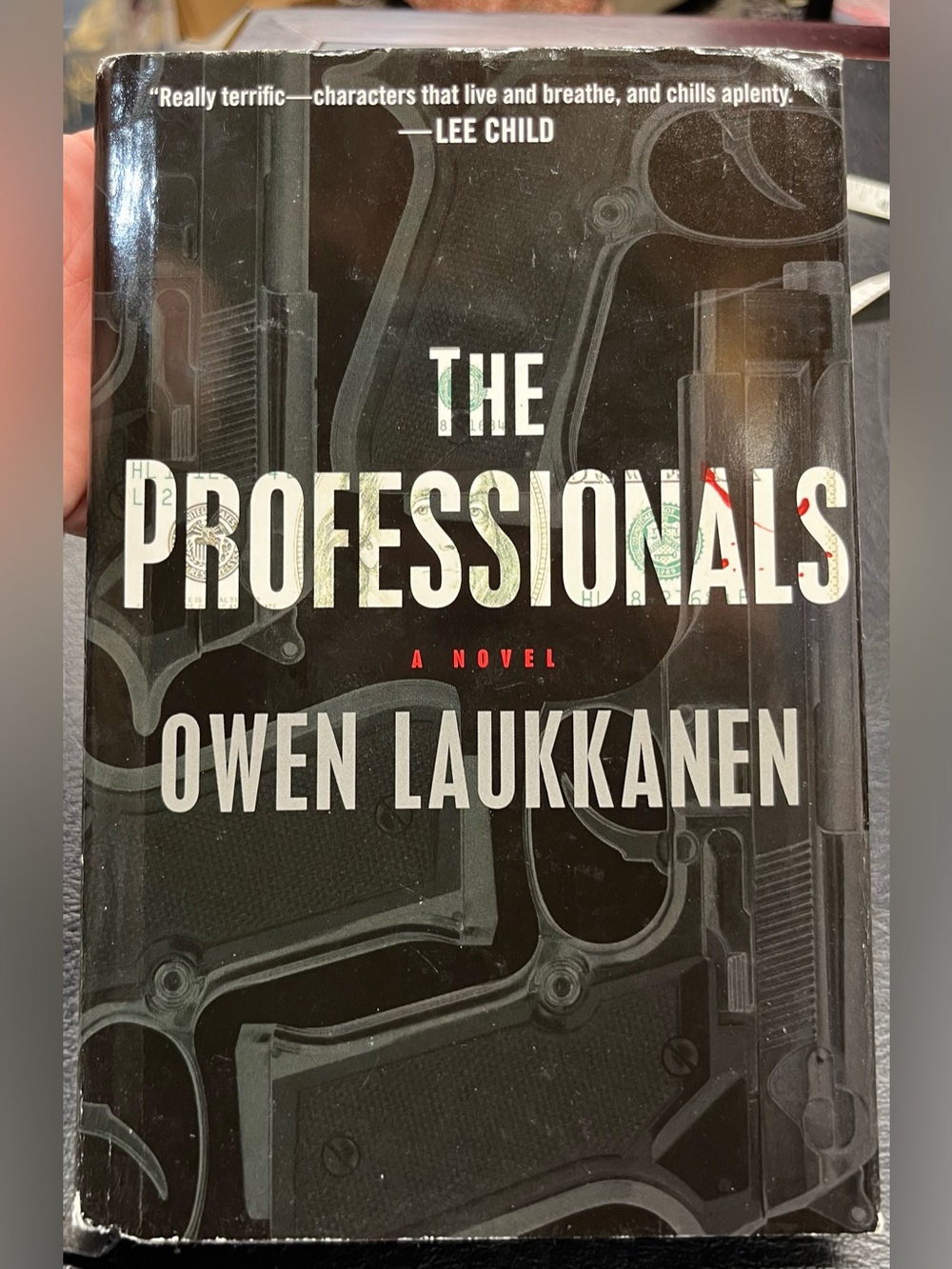 The Professionals by Owen Laukkanen